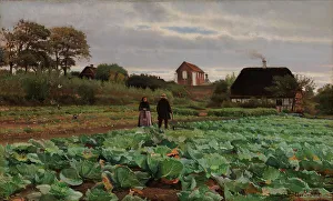 Finnish National Gallery Artwork Drucke: Cabbage patch, 1870-1917. Creator: Hans Smidth