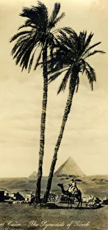 Vintage African Photography Drucke: Cairo - The Pyramids of Girzeh, c1918-c1939. Creator: Unknown