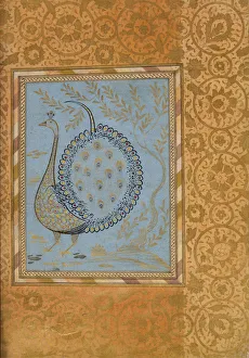 The Met Collection Drucke: Calligraphic Composition in Shape of Peacock, Folio from the Bellini Album, ca. 1600