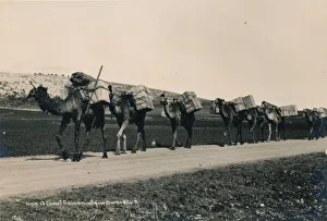 Ein Kamelzug für Damaskus, 1936