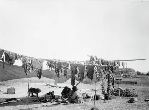 North American Ethnography Drucke: In camp, 1908, c1908. Creator: Edward Sheriff Curtis
