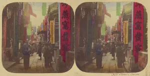 Kantonsstraße – Seidenstrasse, 1858–1859. Ersteller: Pierre Joseph Rossier, Negretti und Zambra