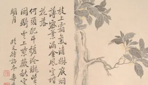Qing Dynasty Art Drucke: Cassia Tree. Creator: Unknown