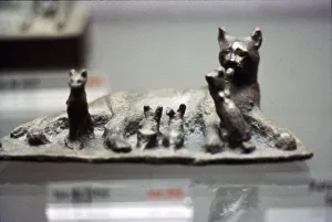Historic Animal Photography Drucke: Cat and Kittens