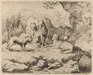 Der Katze als Botin geschickt hat, wahrscheinlich um das Jahr 1645/1656. Ersteller: Allart van Everdingen
