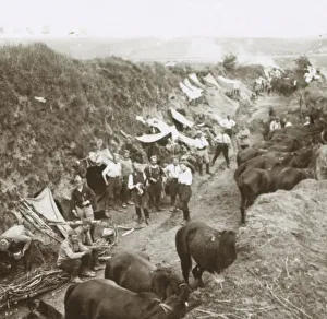 World War I Cavalry Drucke: Cavalry, c1914-c1918