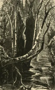 William Cullen Bryant Literature Drucke: Cavern Cascade, below Mountain House, 1872. Creator: J. G. Smithwick