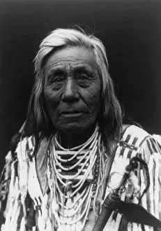 Rückenartige Pferderrasse, 1910 CAYUSE Typ; Künstler: Edward Sheriff Curtis