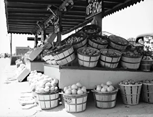 Zentrum Markt, Washington, D.C., 1936; Künstlerin: Dorothea Lange