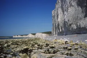 Birling Gap Beach Drucke: Chalk Cliffs and Beach, looking West, Birling Gap, Sussex, 20th century. Artist: CM Dixon