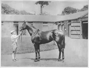 Early 20th Century Sport Drucke: Chandon, 1911