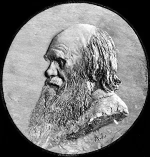 Charles Darwin Portrait Drucke: Charles Darwin, 1882