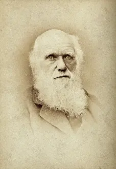 British Naturalist Drucke: Charles Robert Darwin. Creator: Barraud