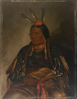 Che-tan-ce-ta (Gelber Hirsch), um 1887. Erfinder: Antonio Zeno Shindler
