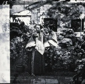 China, 1869, (1981). Schöpfer: Unbekannt.