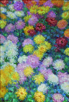Claude Monet Landscape Paintings Drucke: Chrysanthemums, 1897