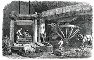 Black And White Farm Scenes Drucke: Cider-Making in Devonshire - Pound-House - the Mill and Press - Piling The Mock
