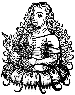 Kimmerische Weise, 1493