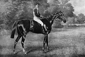 Monochrome Horses Drucke: Clorane, 1911