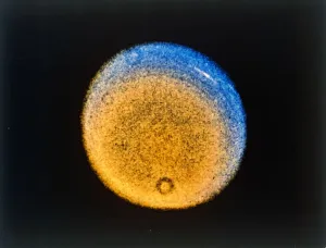 Space Travel Photography Drucke: Clouds in the upper atmosphere of Uranus, from Voyager 2, c1986. Creator: NASA