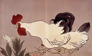 Heritage Art Japan Drucke: A cockerel. Creator: Anon