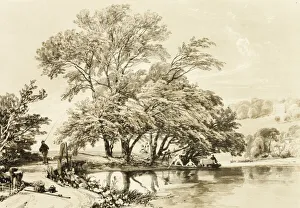 Gemeine Weidenbeere aus dem Park und der Natur, 1841. Ersteller: James Duffield Harding
