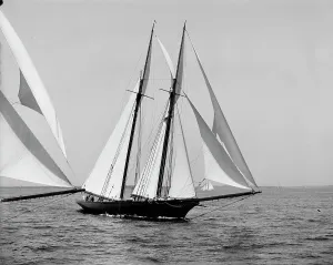 Black And White Sailboats Drucke: Constellation, 1900 Aug 10. Creator: Unknown