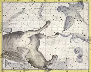 Ancient Greek Constellations Drucke: Constellation of Pegasus, 1729