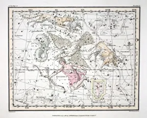 Die Sternkonstellationen (Platte X), 1822