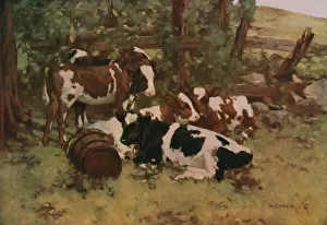 Amalgamated Press Ltd Books Drucke: Contentment, c1903, (c1930). Creator: David Gauld