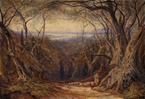 Romantic Era Watercolour Drucke: Corfu, 1871. Creator: Edward Lear