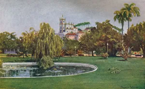 Colorful Palm Tree Images Drucke: A Corner of the Praca da Gloria, 1914