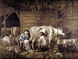 English Countryside Life Drucke: The Cowshed