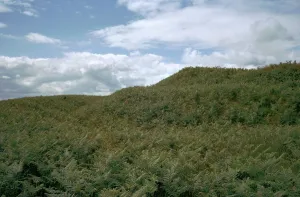 Iron Age Hillfort Drucke: Cranbrook Castle