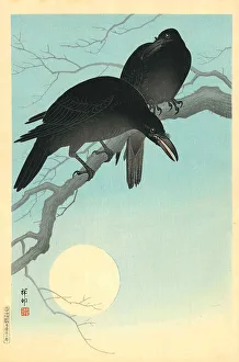 Oriental Arts Collection Online Drucke: Crows in the moonlight, 1927. Creator: Ohara, Koson (1877-1945)