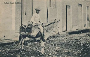 Monochrome Images Of Men Drucke: Cuban Fruit Peddler, c1908
