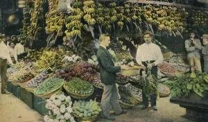 Kuban Fruchtgeschäft, 1910