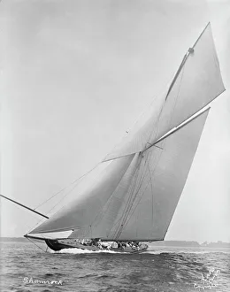 Isle Of Wight Drucke: Der Schneidemaschine Shamrock schlägt Wind ab, Ersteller: Kirk & Söhne von Cowes