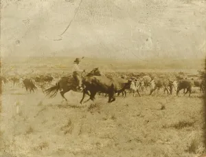 Private Collection Photos Drucke: Cutting out from the herd, 1907. Creator: Smith, Erwin Evans (1886-1947)