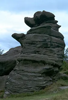 Brimham Rocks Drucke: The Dancing Bear, Brimham Rocks