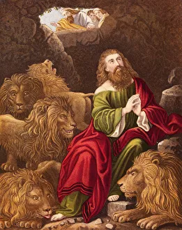 Daniel In The Lions Den Drucke: Daniel in the Lions Den