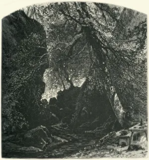 Cassell Petter Galpin Engravings Drucke: The Dargle, c1870