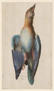 Drucke von Todliche blaue Röhre, 1583. Halb ein Jahrhundert nach seinem Tod setzten Durers Werke weiterhin die Künstler und Sammler inspiriert Hans Hoffmann Drucke: Toter Blauroller, um 1583. Künstler: Hans Hoffmann (Deutsch, um 1550 -um 1592)