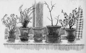 Monochromes Kunstwerk Drucke: Tote Pflanzen auf einem Fensterbrett, 1952. Erstellerin: Shirley Markham
