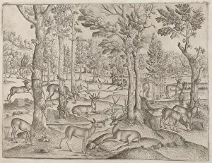 Rustic Countryside Scenes Drucke: Deer in the Forest, c. 1520. Creator: Unknown