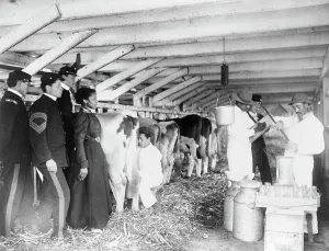 Demonstrations der Milchprüfung auf stabilem Wege im Hampton-Institut zu Hamptonsburg (Virginia), von 1899 bis 1900; Erstellerin: Frances Benjamin Johnston