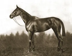 Edwardian Era Animal Art Drucke: Demure, 1911. Creator: Unknown