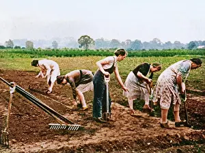 Britische Frauen beitragen zum Kriegsanstrengungen, 1943.