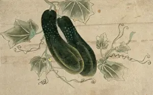 Asian Art Drucke: Two dill cucumbers, (unknown date). Creator: Unknown