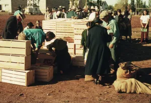 Verteilen von Überschusswaren, St. Johns, Arizona 1940. Ersteller: Russell Lee